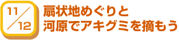 11/12 扇状地めぐりと河原でアキグミを摘もう
