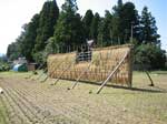 20060929