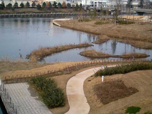 20070203