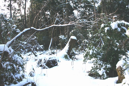 20070204