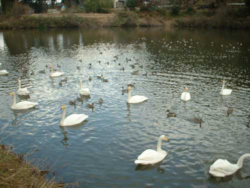 20070214