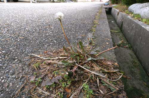 20070217