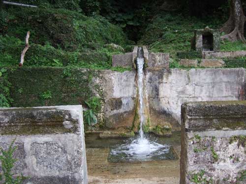 20070313