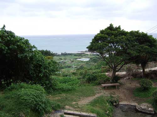 20070313