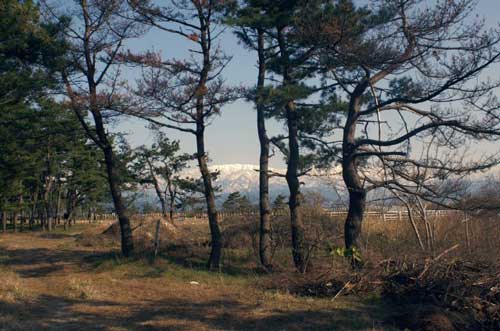 20070324