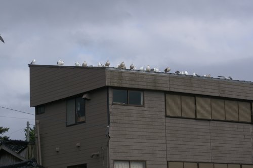 20070406