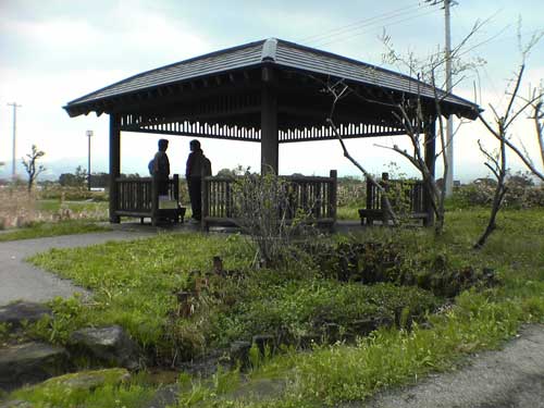 20070428