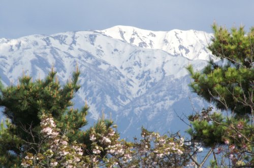 20070515