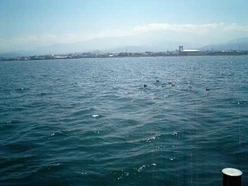 20070815