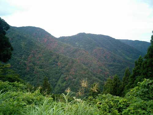 20070909