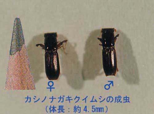 20070909
