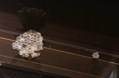 20070923