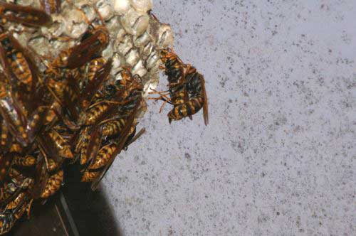 20071011