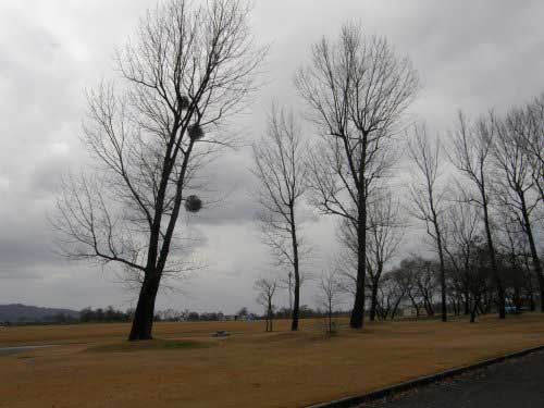 20071225