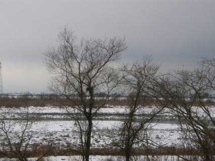 20080109