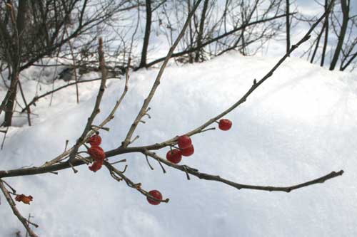 20090121