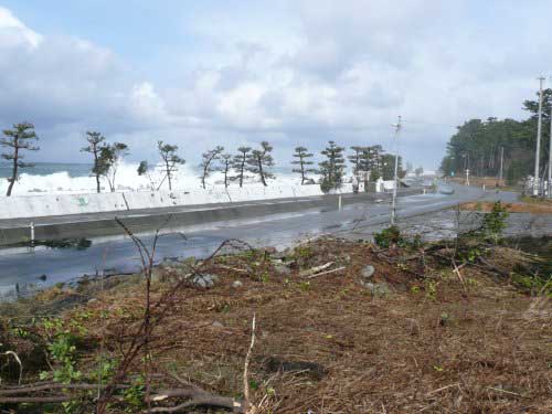 20080229