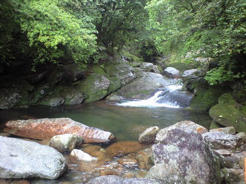 20080526