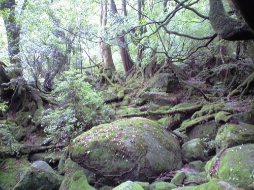 20080526