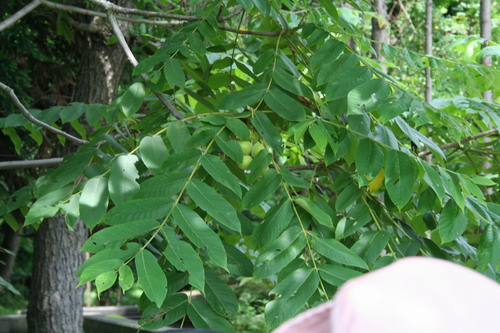 20080628b