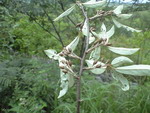 20080903s
